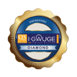QS I-Gauge